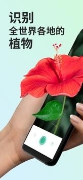 PictureThis植物识别app