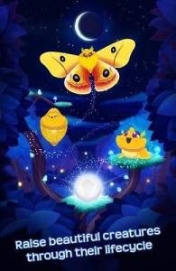 蝴蝶之星夜免费版下载