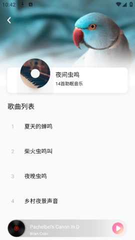 bibi相机app下载
