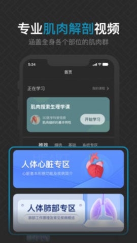 3D肌肉解剖软件下载