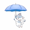 雨伞游侠最新版下载