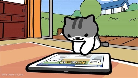 猫咪后院最新版下载
