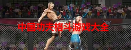 中国功夫格斗游戏大全
