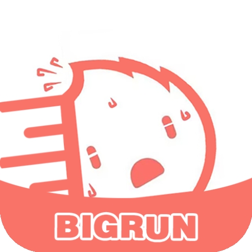 bigrun论坛安卓版