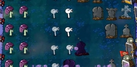 植物大战僵尸威化版最新版