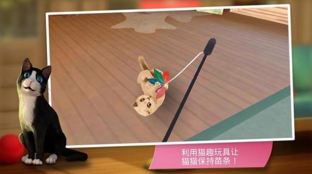 猫咪旅店安卓版下载