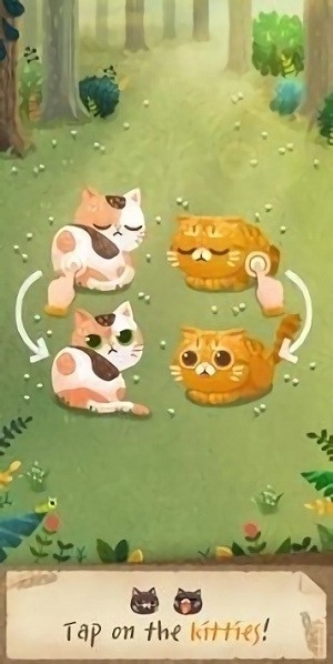 秘密猫森林最新版下载