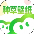 种草壁纸最新版下载