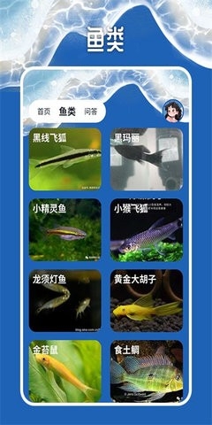 天天钓鱼大师下载安装