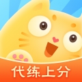 代练猫代打平台