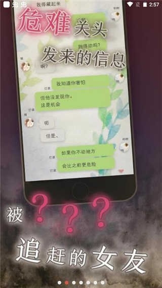 我的女友安卓版