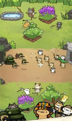 只是只小猫官方版免费下载