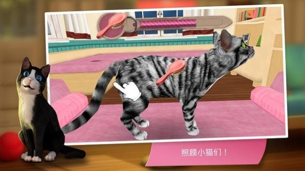 猫咪旅店安卓版下载