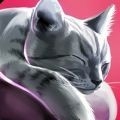 猫咪旅店安卓版下载