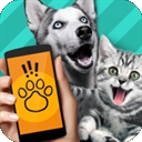 Pet Translator宠物对话翻译器app
