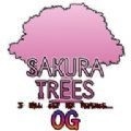 樱花树(Sakura Trees)中文版