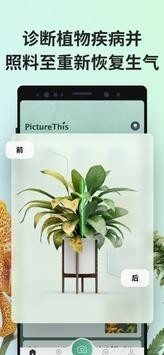 PictureThis植物识别app