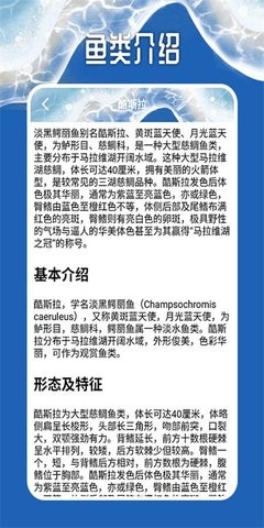 天天钓鱼大师下载安装