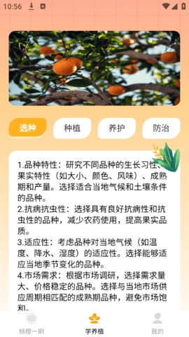 桃橙爱看科普软件下载