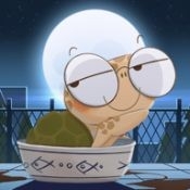 海龟蘑菇汤steam移植版