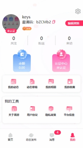 领游安卓版