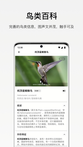 懂鸟官方免费下载