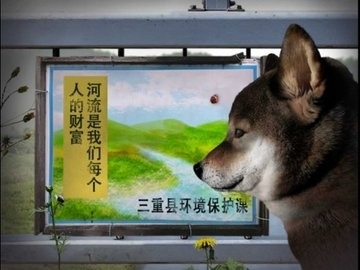 翌日波奇狗的历险记手机版下载