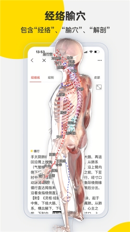 3Dbody解剖免费版下载