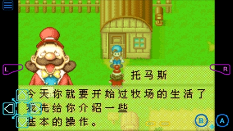 牧场物语矿石镇的伙伴们中文安卓版下载