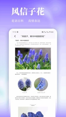 天源花儿官方正版下载