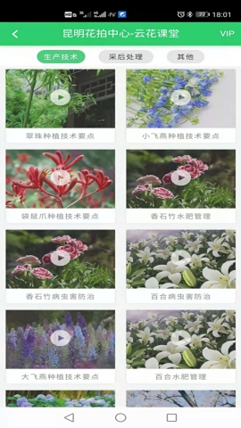 花拍服务供app