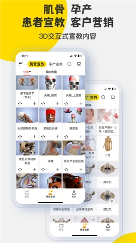3Dbody解剖免费版下载