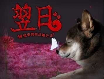 翌日波奇狗的历险记手机版下载